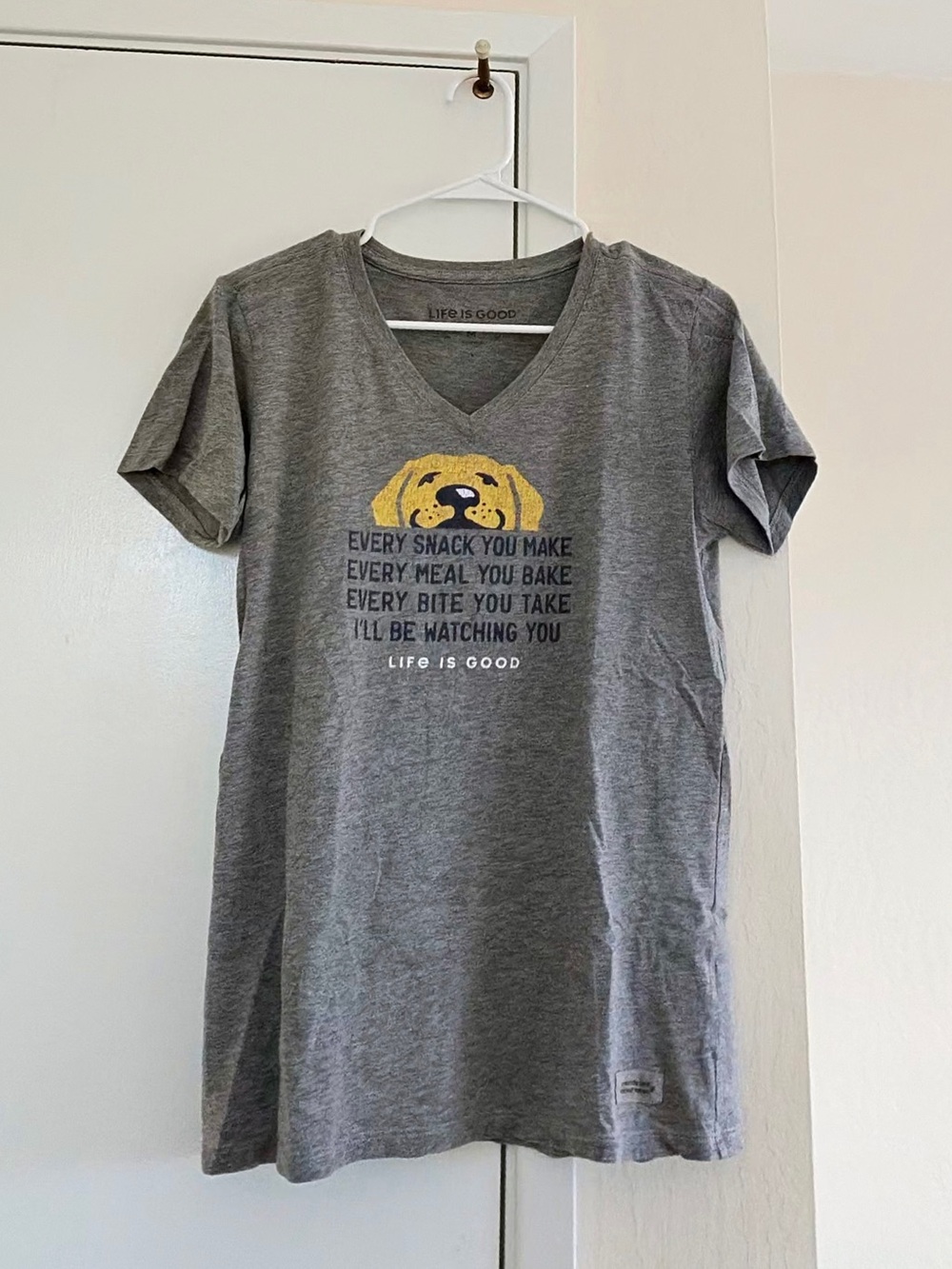 Life Is Good Gray Short Sleeve V‑Neck Tee with Yellow Dog Graphic